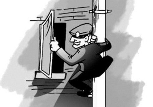 小偷通过窗户进入(图片来自新浪)