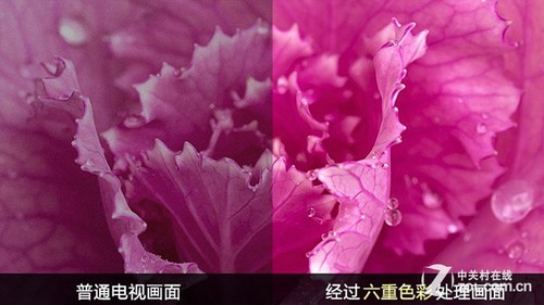 ͽ 42ܻٴʷµ 
