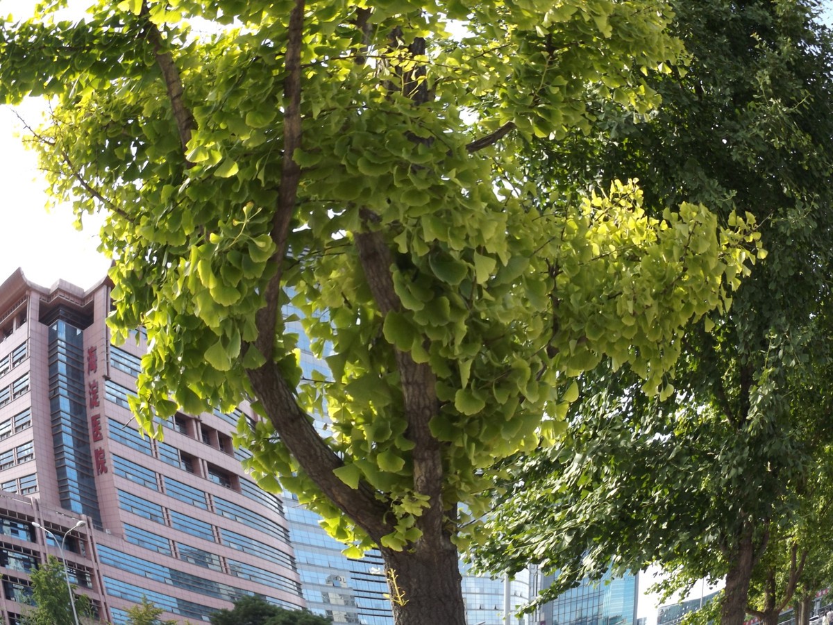 【高清图】 900mm的36倍光变神器 富士s8600评测图32