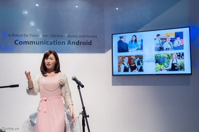 �������� ��֥�з��߷������ܻ�����