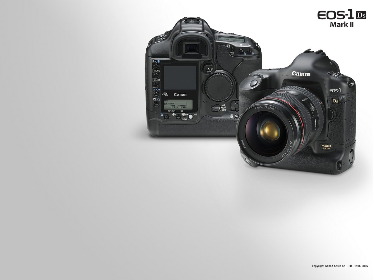 佳能粉丝看过来 旗舰单反,l头壁纸合集 (2/11)