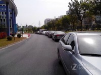 ����7295����ͨ�棩������0