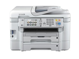 3641