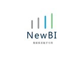 NewBI_ҵBI