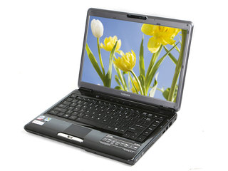 ֥M302
