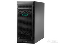 HP ProLiant ML110 Gen10(880648-AA5)