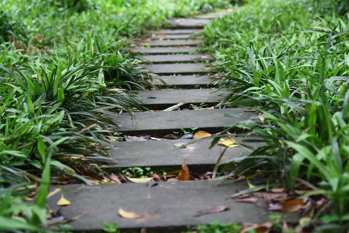 【高清图】 佳能(canon)ef-s 17-55mm f/2.8 is usm实拍样张 图4