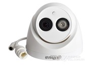  DH-IPC-HDW1020C