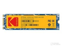´X300960GB