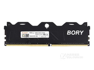 BORY 8GB DDR4 2400