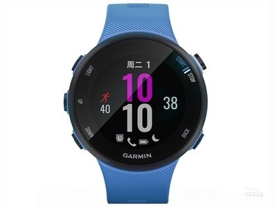  Forerunner 45S