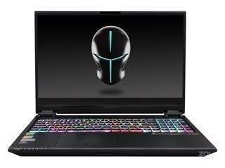 Terrans Force X511(i7 10875H/32GB/1TB+1TB/RTX2070Super)