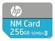 NM100256GB