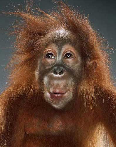 【高清图】 吉尔 摄影界的女魔头图1