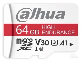 S10064GB
