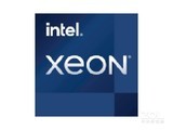 Intel Xeon W-11955M
