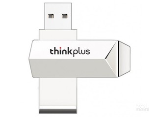 thinkplus TPU301256GB