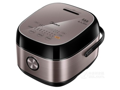 fz4010
