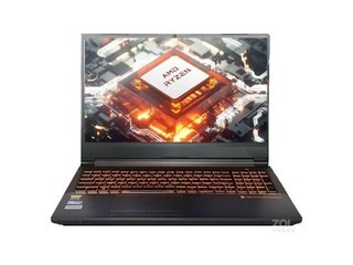 Terrans Force AMD-3070-390S1