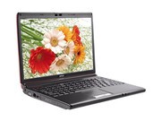 msi΢ EX310X-ORQL601G16SX