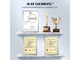 aosemhs SLA365 【6500W】基础款+触屏恒温+水电分离