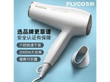 博锐（POREE）FH6231 白色2000W大功率