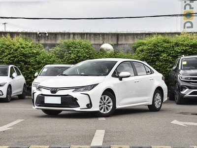   2023 1.5L 20견