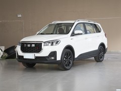 SWM˹������ SWM˹��G05 2023�� PRO 2.0L �ֶ���Ӣ�� 7��
