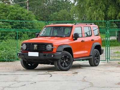 ̹300 2024 2.0T ޶