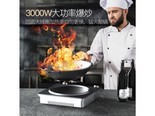 TINME SLT30 太空灰电磁炉标配（旋钮式+3000W）