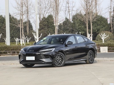 ǵ  2023 DM-i 1.5L 121km Ӣ