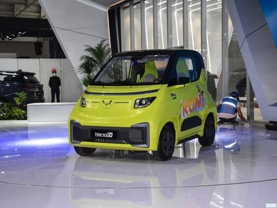 NanoEV 2021 ʿNick
