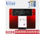 先科XKRO100G 先科红色语音冰热内置滤芯+备用滤芯