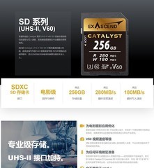 至誉科技(EXASCEND)256GB SD Catalyst U3 V60 UHSII 【256GB】写速180MB/s