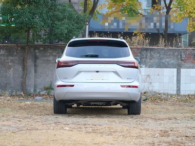 AITO ʽM7 2024 1.5T ǼݺPro 5