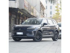 ��ά���� ��άEV6 2025�� ������AIR