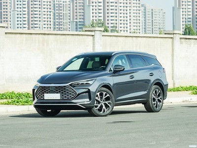 ǵ Դ 2025 DM-i 115KM 