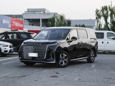 ͨMAXUS ͨG90 2025 2.0T ǻ