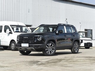 ��³ľ���������������ʱ�ػݣ�����ֱ��2.5��