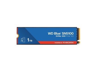 WD Blue SN51001TB