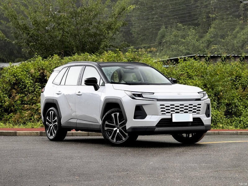 ���� ������ 2026�� ˫�� 2.5L ����MAX