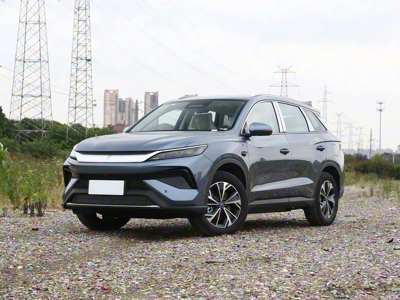 ���ǵ� ��Pro����Դ 2026�� DM-i 133KM��Խ��