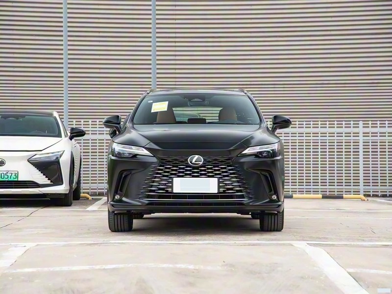 �׿���˹RX 2026�� 300 ����Black Edition