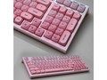 ���� FL980 ��ѩ������