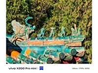 vivo X200 Pro mini(12GB/256GB)������3