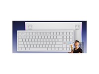 VGN V87 V2 动力金轴/冰山雪莲侧刻