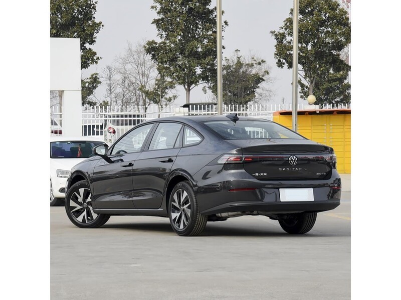 ���� ���� 2026�� L 300TSI DSG ʱ����