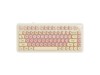 ��֥Z75 �۵�RGBӣŵ��V2-�����