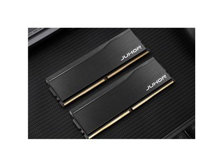 �������� 32GB(2��16GB) DDR5 6000 C38 ����