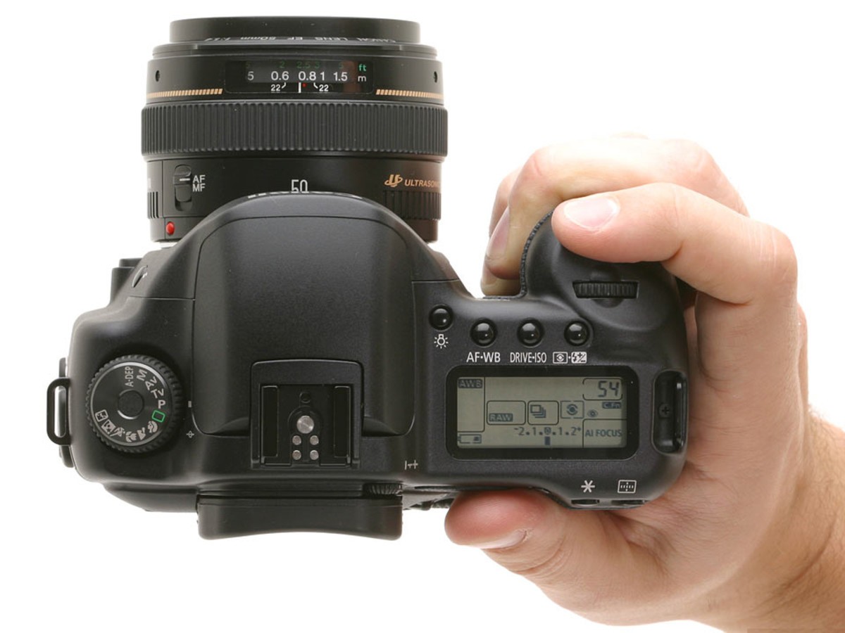 【高清图】 佳能(canon)eos 10d 图79